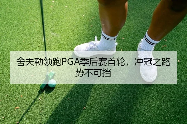 舍夫勒领跑PGA季后赛首轮，冲冠之路势不可挡